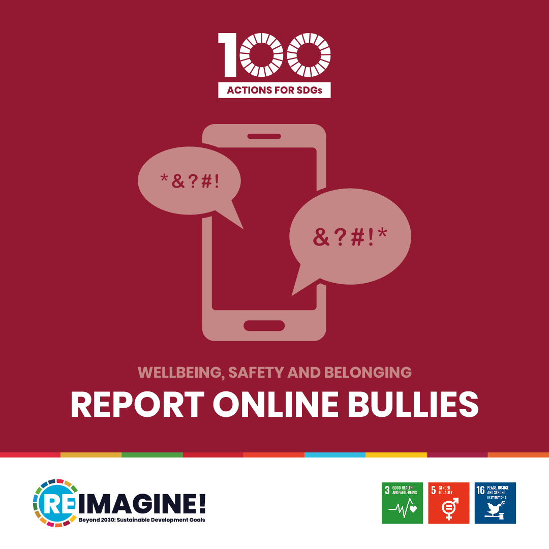Report online bullies