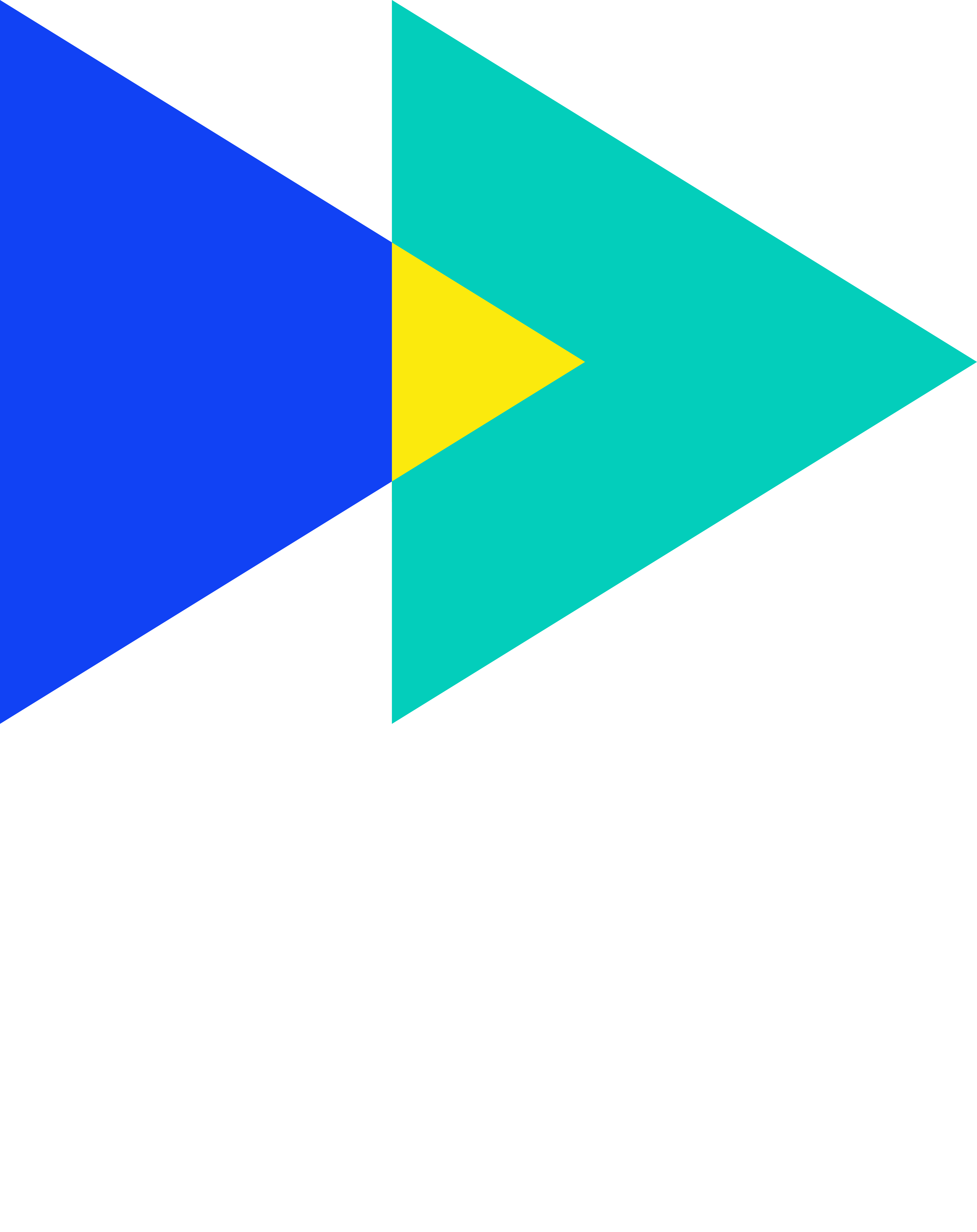 The Culture Practice Logo-White Text